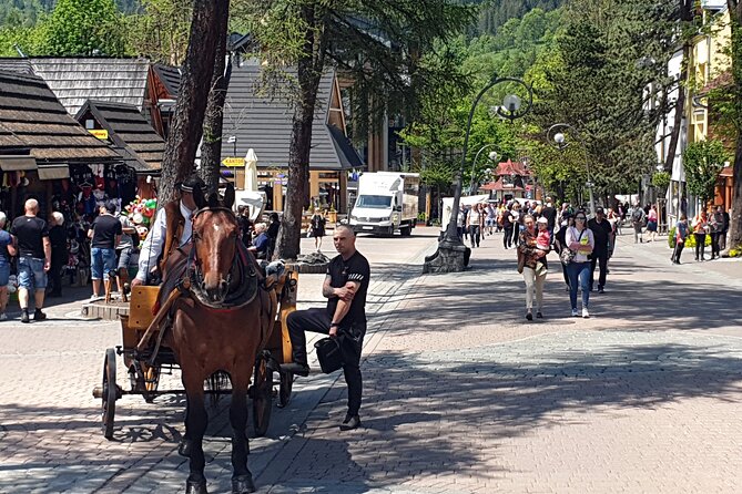 Full-Day Private Tour of Slovakia Treetop Walk and Zakopane - Who should book this mountain day?
