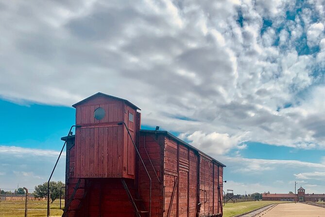 Full-Day Tour of Auschwitz and Wieliczka Salt Mine from Krakow - Walking, timing, and the real pace
