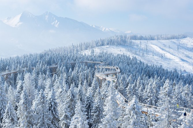 Full-Day Tour of Zakopane and Sky Walk Heart of Poronin - Sky Walk Heart of Poronin above Zgorzelisko Glade