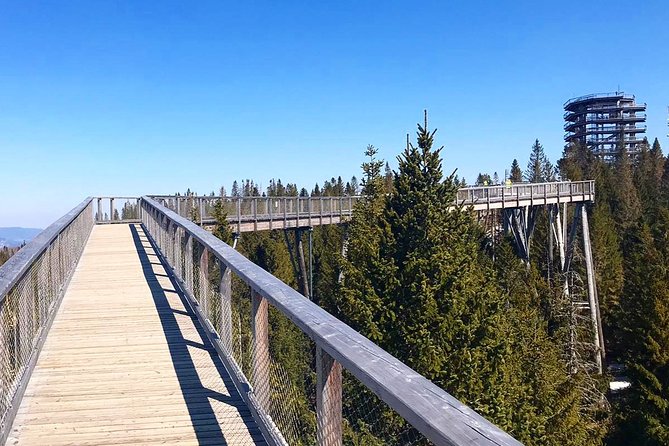 Full-Day Zakopane and Slovakia Treetop Walk From Krakow - Weather, timing, and comfort