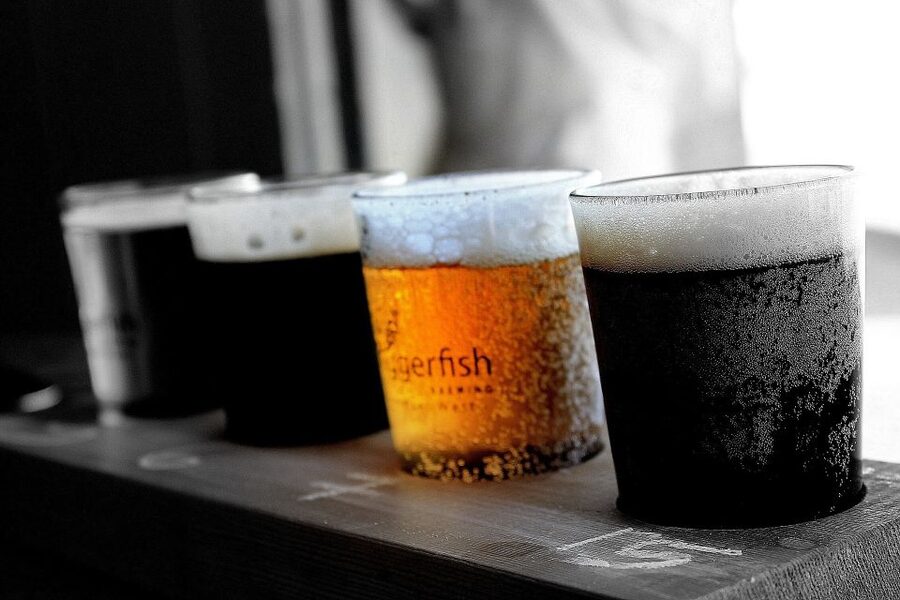 Gdansk: Polish Beer Tasting Tour - Who should book this experience?