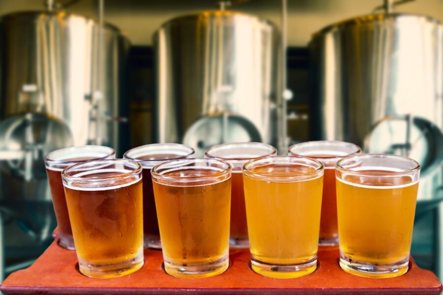Gdansk: Polish Beer Tasting Tour - The guide can make or break the evening