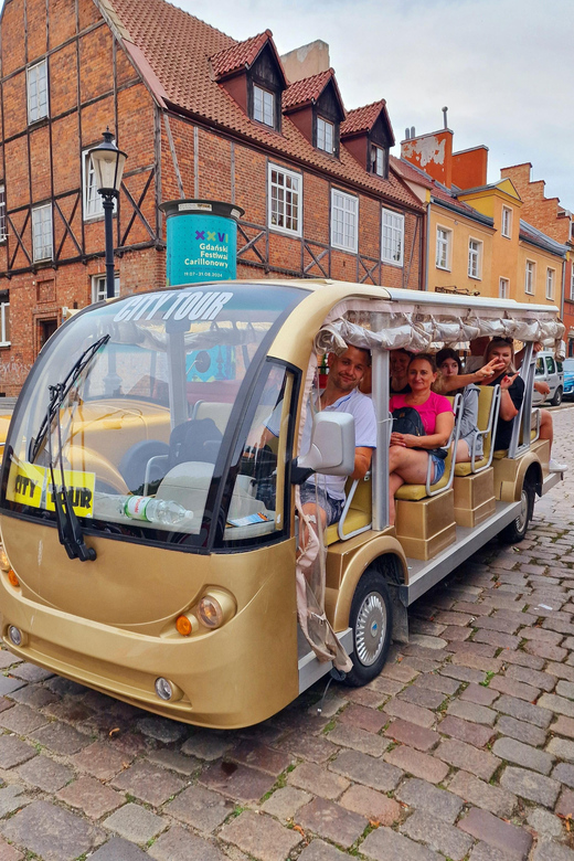Gdansk: Shared or Private City Tour Sightseeing By Golf Cart - The Great Mill And The Old Port Crane