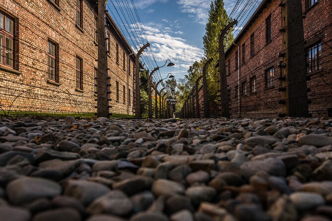 Guided Tour Krakow to Auschwitz-Birkenau with pickup options - Birkenau and the scale of the camp