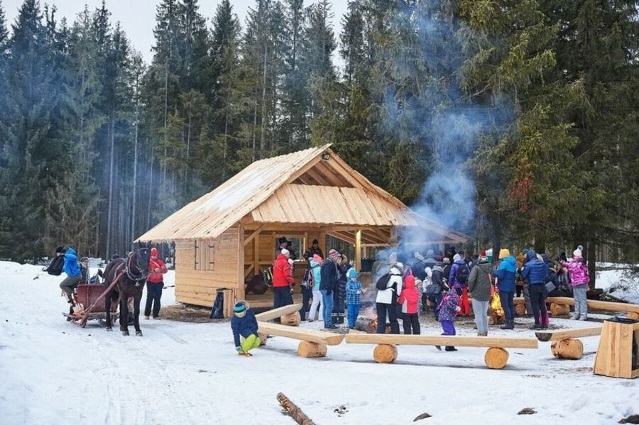 Horse Sleigh 2-3h Ride with Hot Springs or Zakopane Combos - Key points before you book