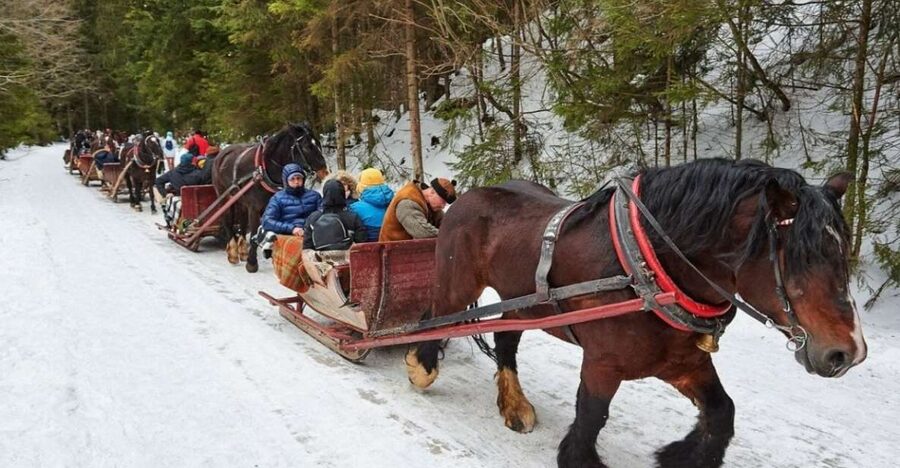 Horse Sleigh 2-3h Ride with Hot Springs or Zakopane Combos - From Krakow toward the wooden houses of Chocholow