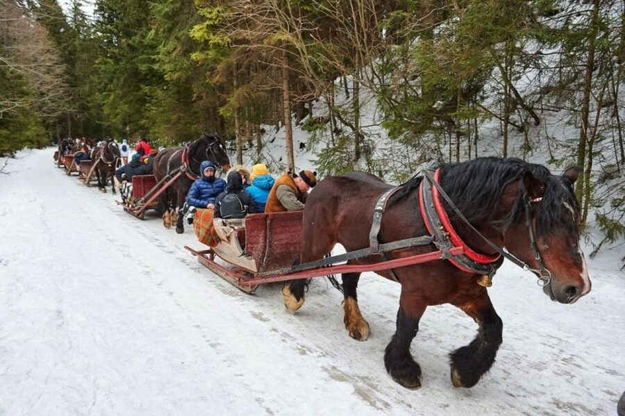 Horse Sleigh 2-3h Ride with Hot Springs or Zakopane Combos - Riding the Gubalowka funicular for the Tatra panorama
