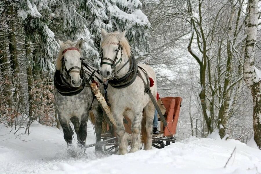 Horse Sleigh 2-3h Ride with Hot Springs or Zakopane Combos - A horse sleigh ride among the snowy mountains