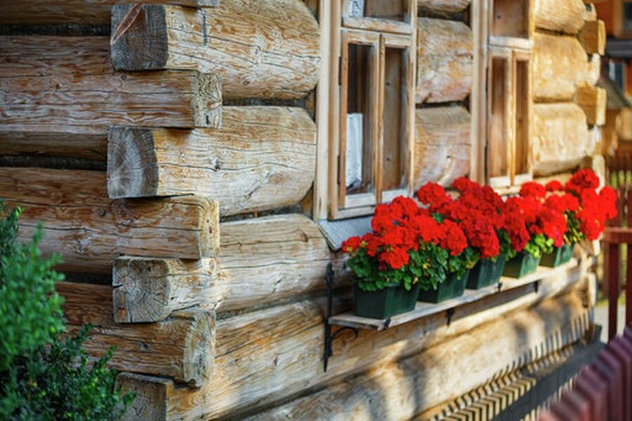 Horse Sleigh 2-3h Ride with Hot Springs or Zakopane Combos - How the timing affects the experience