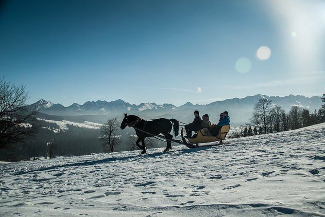 Horse Sleigh Ride in the Polish Countryside, private tour from Krakow - How the private format affects the value