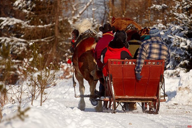 Horse Sleigh Ride in the Polish Countryside, private tour from Krakow - The warmth of a Polish country meal