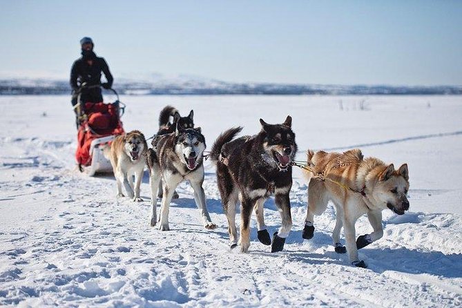 Husky Ride Private Tour from Krakow - Jaszczurówka and the wooden style of Zakopane