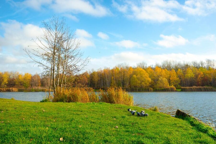 Katowice: Express Walk with a Local in 60 minutes - From major landmarks to everyday Katowice