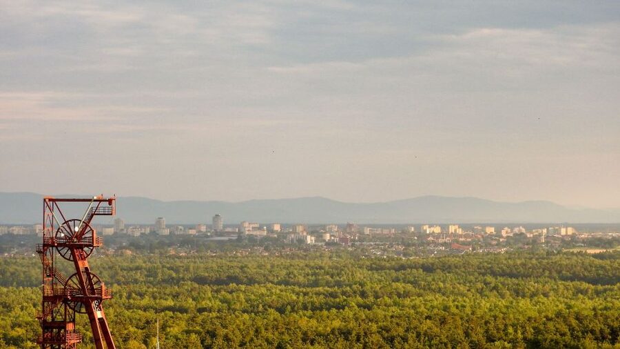 Katowice: Express Walk with a Local in 60 minutes - The Silesian Museum and the city today