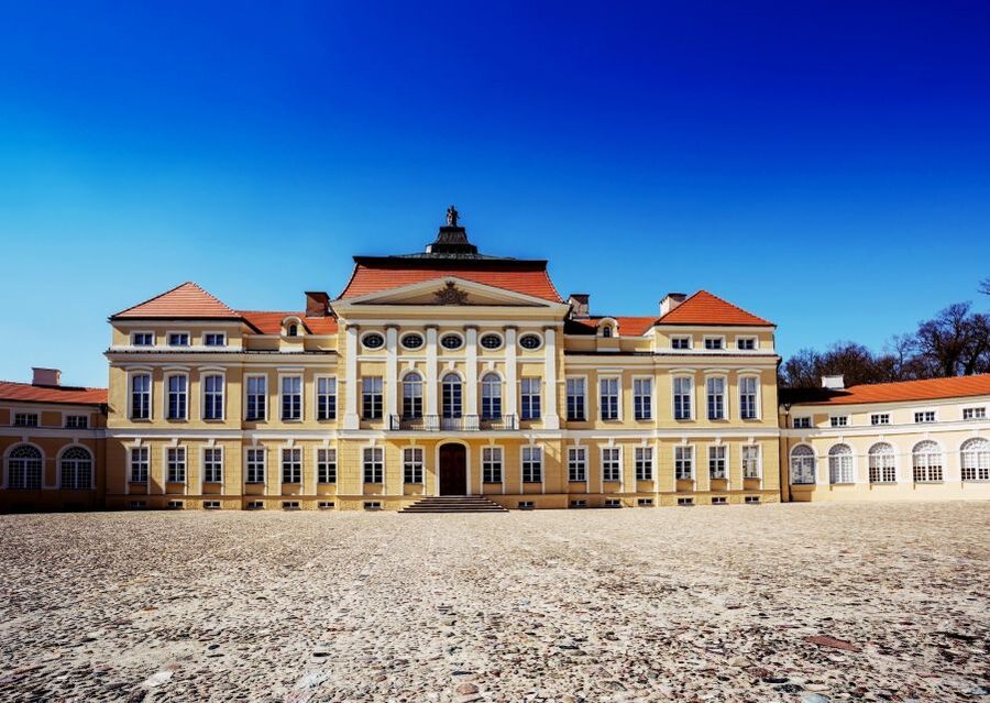Kornik Castle and Rogalin Palace Half-Day Private Tour - Walking through Poland’s oldest arboretum