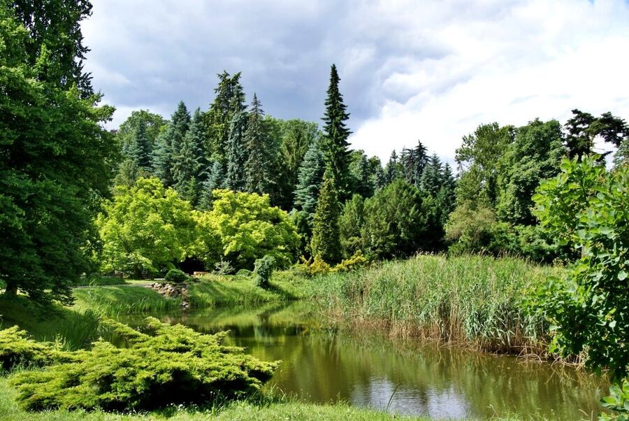 Kornik Castle and Rogalin Palace Half-Day Private Tour - What the private transport adds