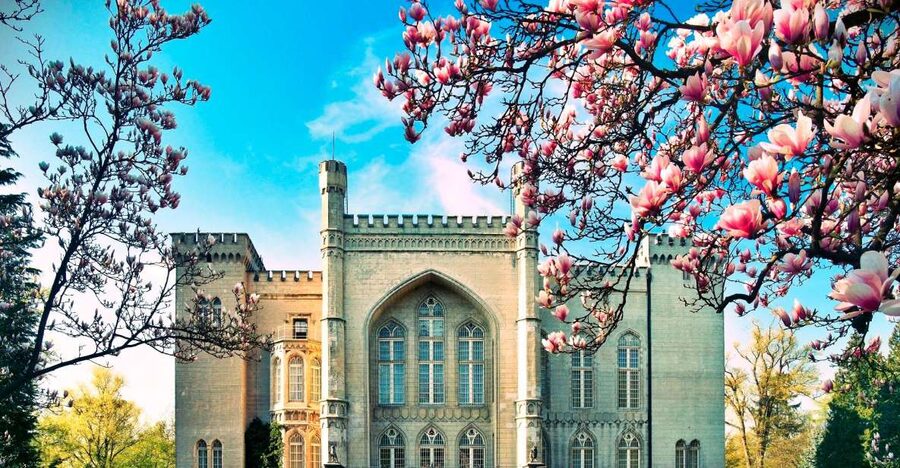 Kornik Castle and Rogalin Palace Half-Day Private Tour - Entering Kornik Castle and its 14th-century past