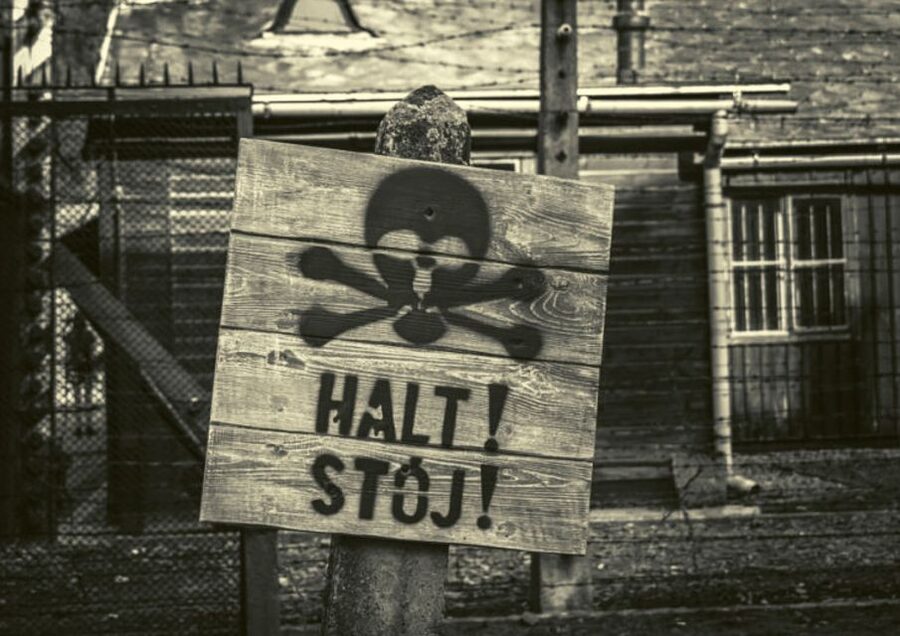 Krakow and Auschwitz Small-Group Tour from Warsaw with Lunch - Krakow Old Town in a focused two-hour walk