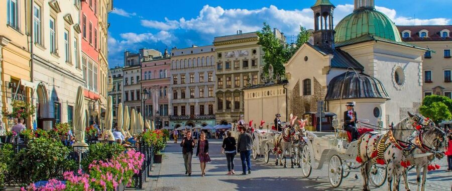 Krakow and Auschwitz Small-Group Tour from Warsaw with Lunch - Is $392 a fair price?