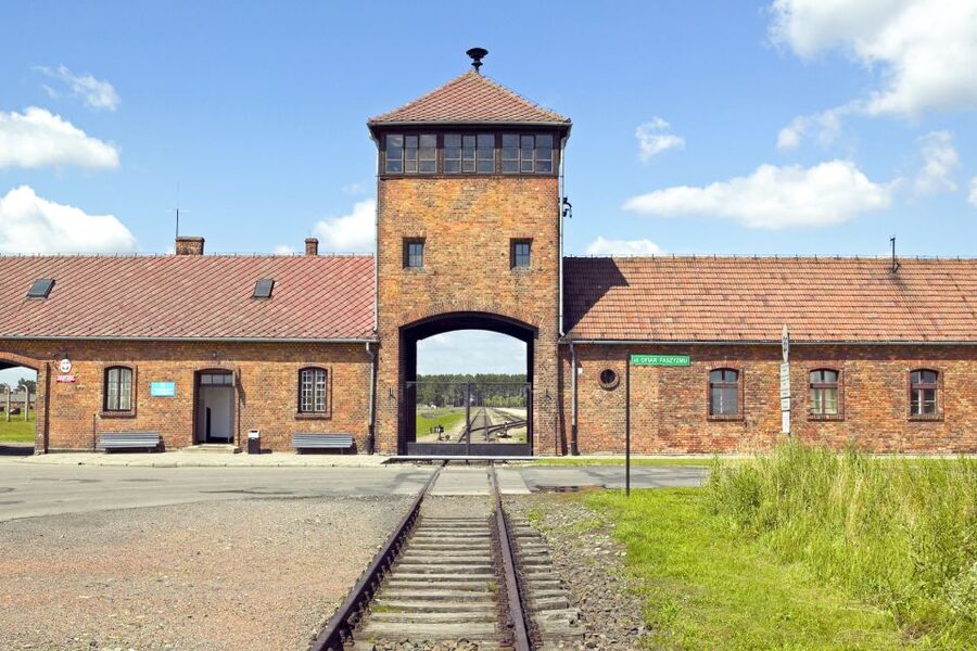 Krakow: Auschwitz-Birkenau and Salt Mine Guided Tour - Key points at a glance