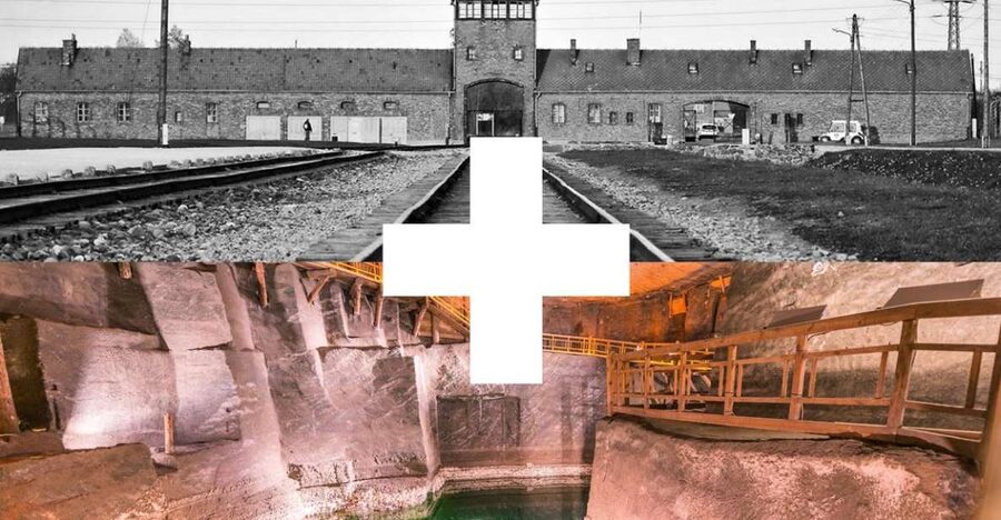 Krakow: Auschwitz-Birkenau and Salt Mine Guided Tour - The $54 price and who gets the best value