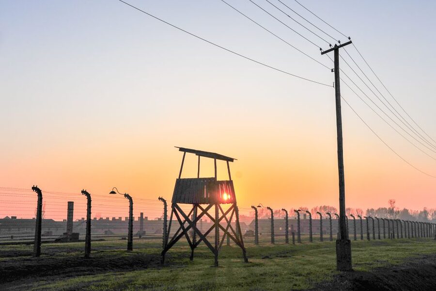 Krakow: Auschwitz-Birkenau and Salt Mine Guided Tour - Birkenau: open space and hard truths