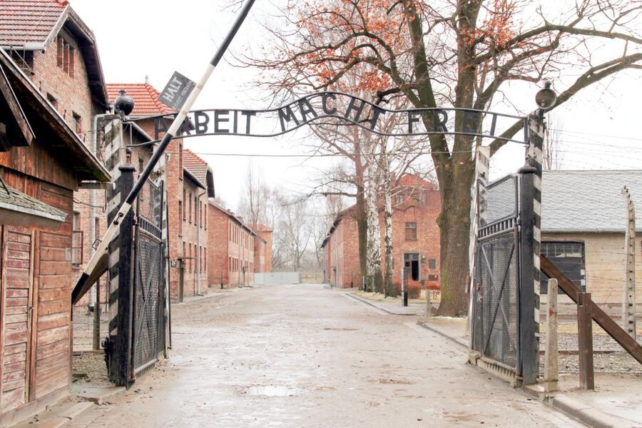 Krakow: Auschwitz-Birkenau and Salt Mine Guided Tour - Transport, group organization, and the end of the day