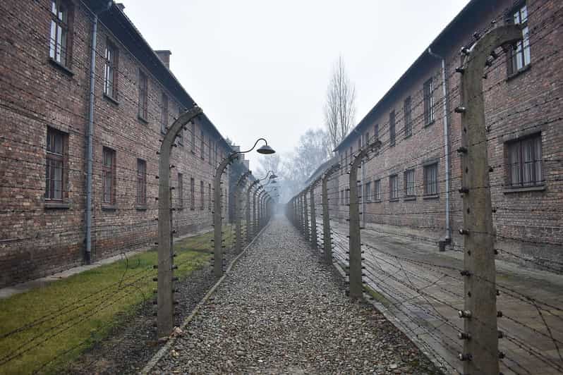 Krakow: Auschwitz-Birkenau Day Trip with Tour Leader - Key points to know before booking