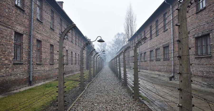 Krakow: Auschwitz-Birkenau Day Trip with Tour Leader - How the self-guided system works