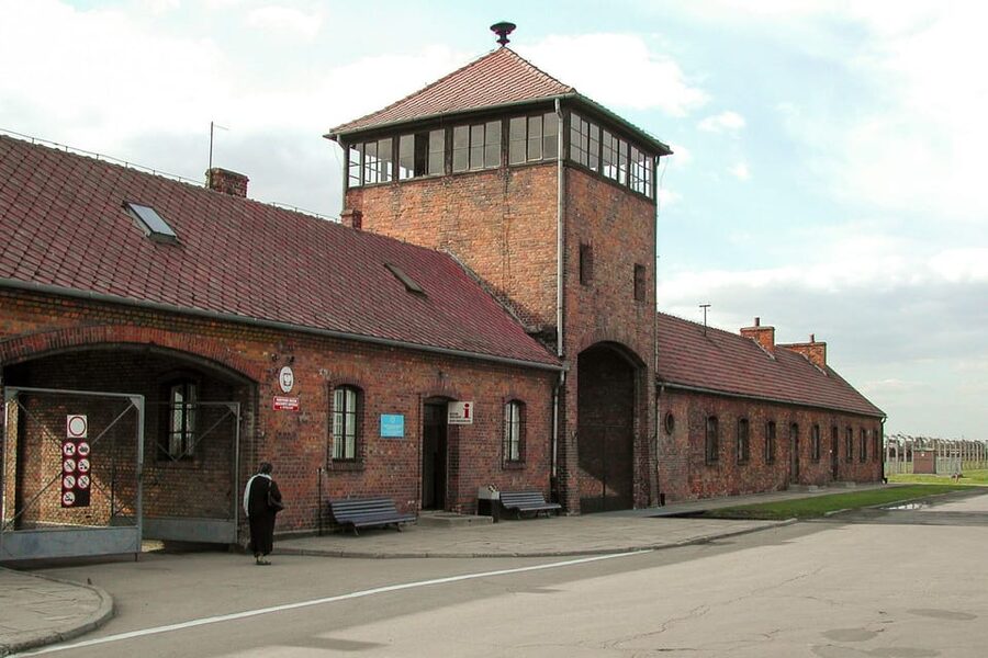 Krakow: Auschwitz-Birkenau Day Trip with Tour Leader - Queues, timing, and the real length of the day