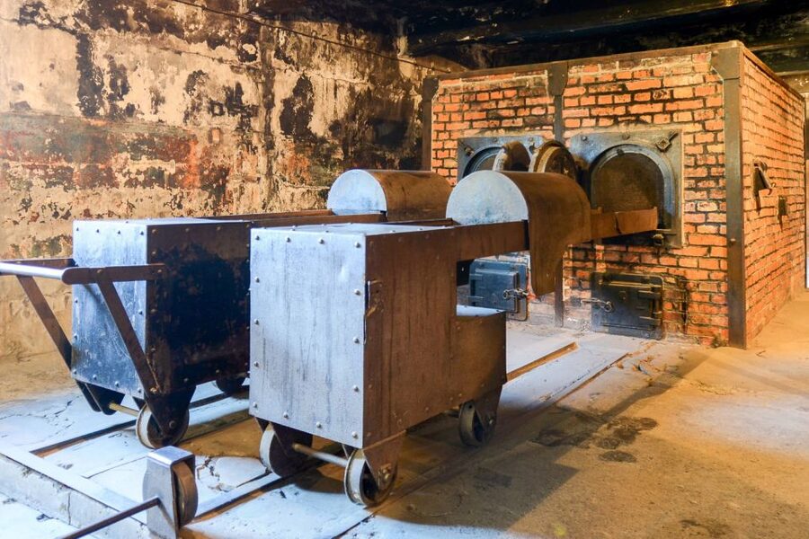 Krakow: Auschwitz-Birkenau Day Trip with Tour Leader - What makes the organization worth praising