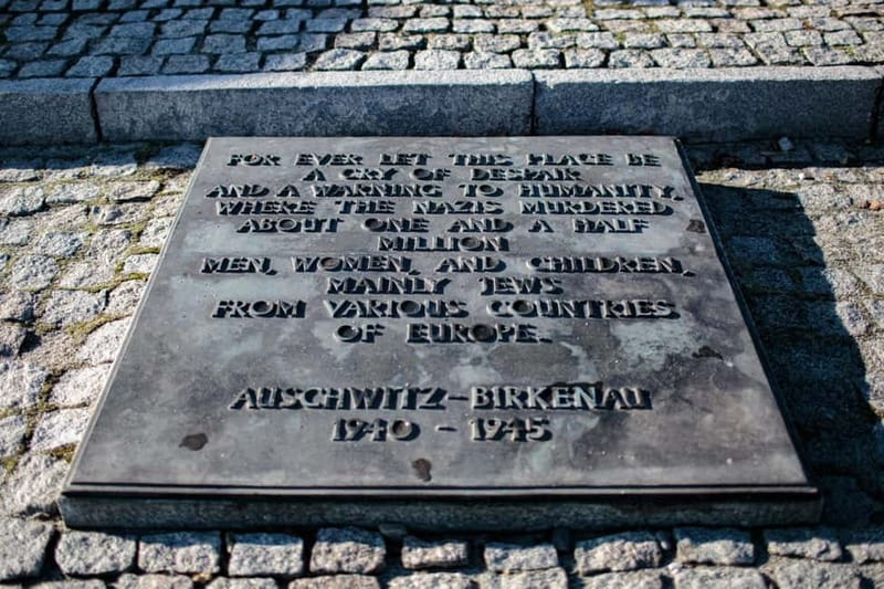 Krakow: Auschwitz-Birkenau Entry Ticket and Transfer - Who should book this tour?