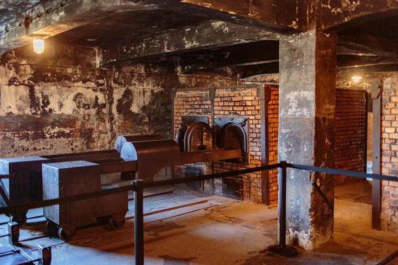 Krakow: Auschwitz-Birkenau Entry Ticket and Transfer - Why this Krakow day trip matters