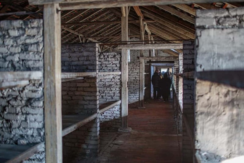 Krakow: Auschwitz-Birkenau Entry Ticket and Transfer - How the guides shape the day