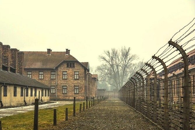 Krakow: Auschwitz-Birkenau Guided Tour & Hotel Pick Up - Why this day matters in Krakow
