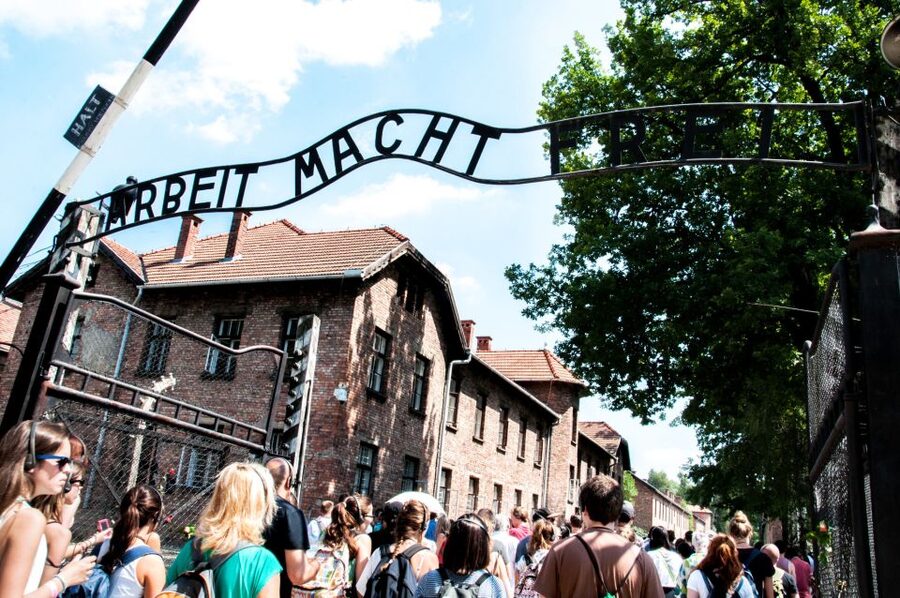 Krakow: Auschwitz-Birkenau Guided Tour Pickup/Lunch Options - Birkenau and the scale of the site