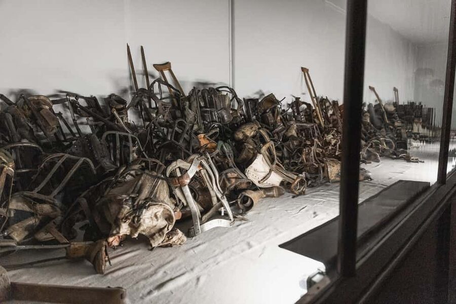 Krakow: Auschwitz-Birkenau Guided Tour with Transportation - Price and overall value at $20