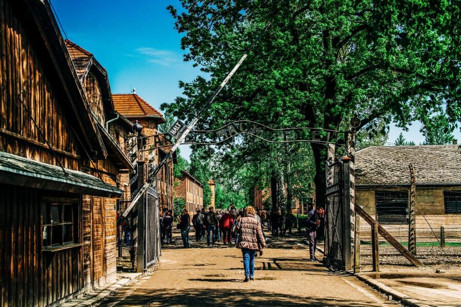Krakow: Auschwitz-Birkenau Live Guided Tour & Hotel Pickup - Who should book this Auschwitz tour?