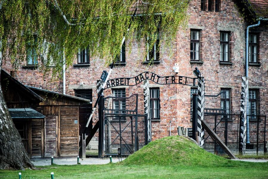 Krakow: Auschwitz Birkenau Museum Guided Tour with Pickup - What the guide adds