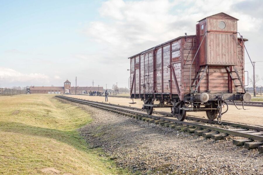 Krakow: Auschwitz Birkenau Museum Guided Tour with Pickup - Who will get the most from this tour?