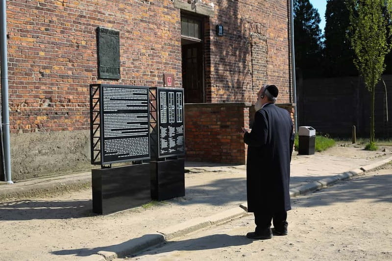 Krakow: Auschwitz-Birkenau Private Guided Tour - Auschwitz I: barracks, displays, and a compact route