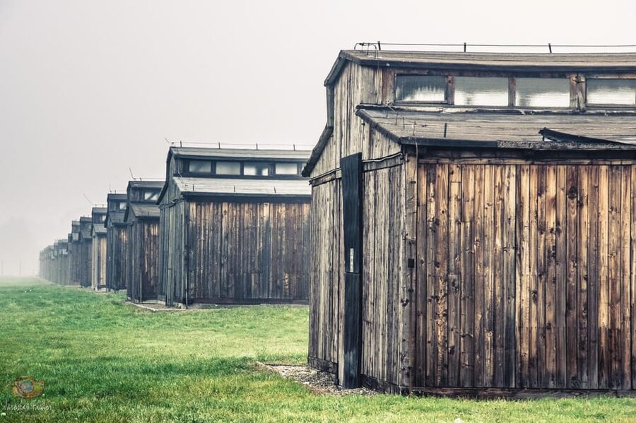 Kraków: Auschwitz-Birkenau Private Tour & Transportation - The ten-minute pause between difficult sections