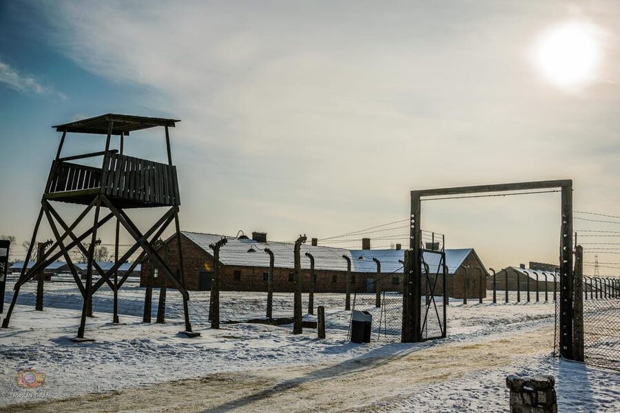 Kraków: Auschwitz-Birkenau Private Tour & Transportation - Auschwitz II-Birkenau: scale, railway platform, and remains