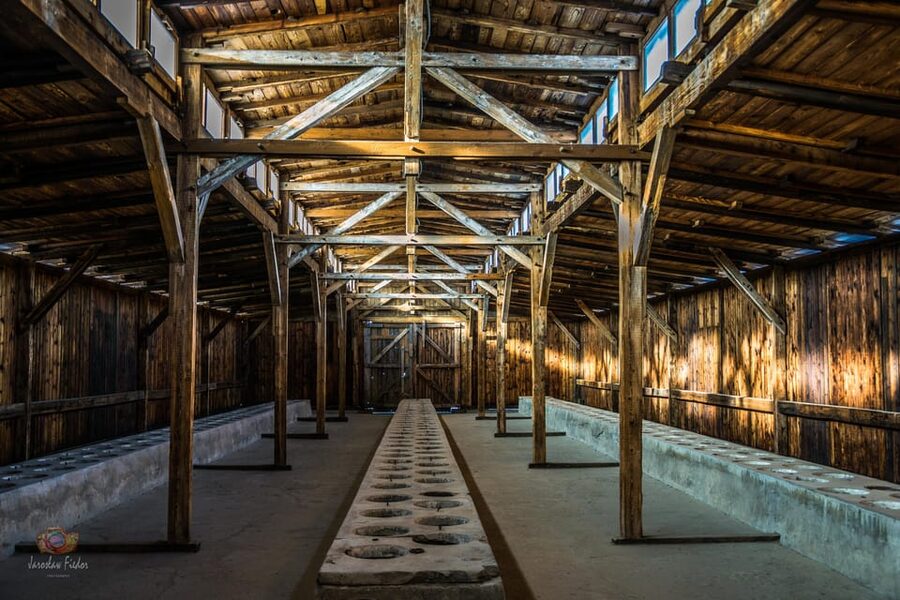 Kraków: Auschwitz-Birkenau Private Tour & Transportation - Timing, clothing, and what to carry