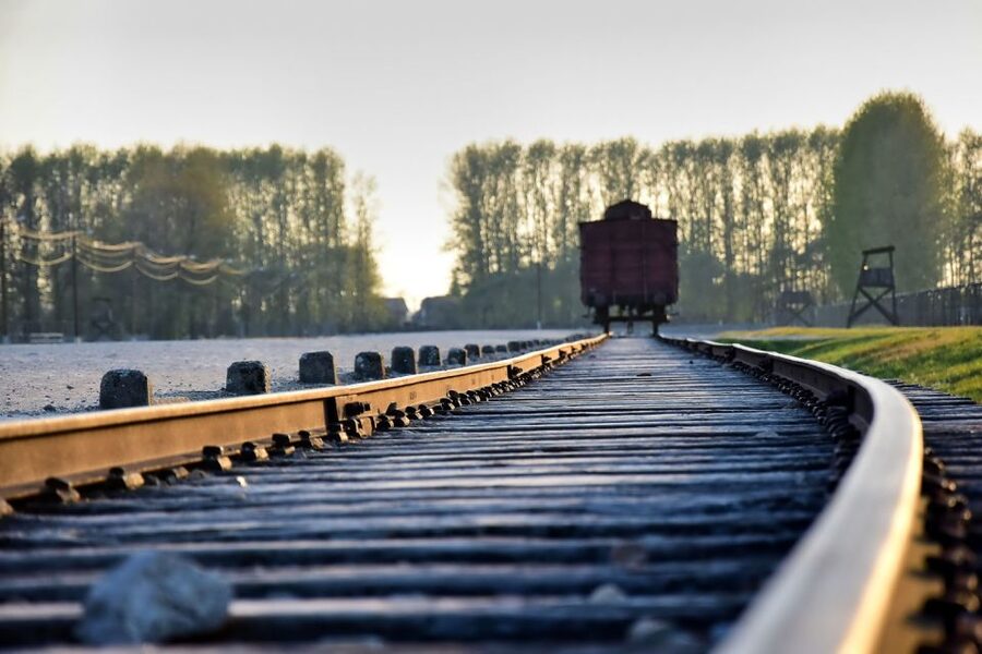 Kraków: Auschwitz-Birkenau & Salt Mine Full-Day Guided Tour - The Early Pickup Sets the Tone
