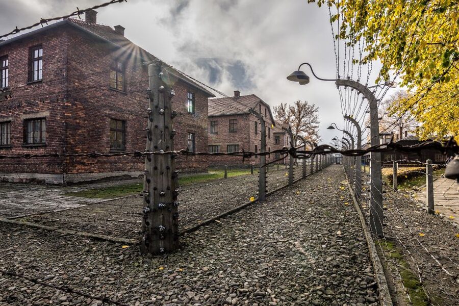 Kraków: Auschwitz-Birkenau & Salt Mine Full-Day Guided Tour - A One-Hour Break Before the Salt Mine