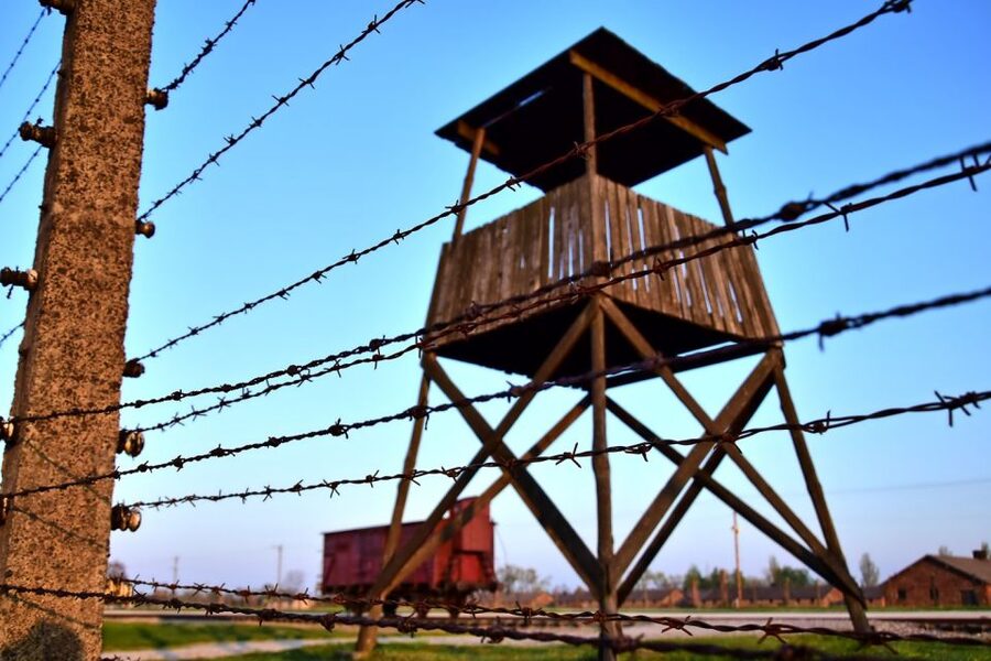 Kraków: Auschwitz-Birkenau & Salt Mine Full-Day Guided Tour - What the Guides Add to the Day