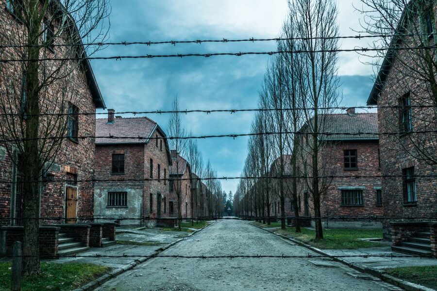 Kraków: Auschwitz-Birkenau & Salt Mine Full-Day Guided Tour - Is $27 Good Value?