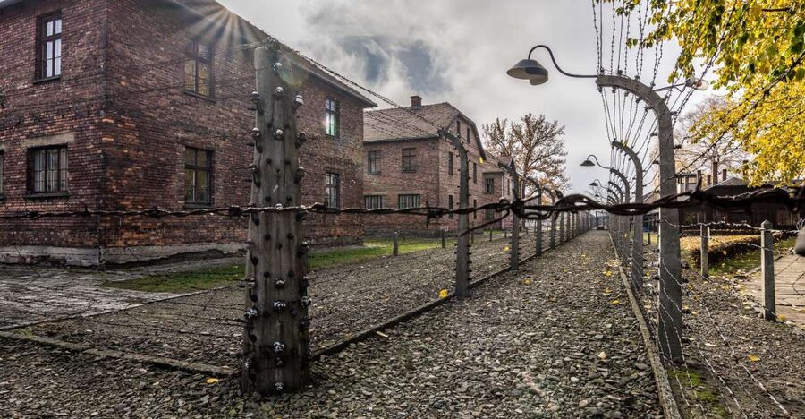 Kraków: Auschwitz-Birkenau & Salt Mine Full-Day Guided Tour - The Road to Auschwitz Takes About 90 Minutes