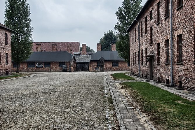 Krakow: Auschwitz-Birkenau Shared English Tour and Transfer - Birkenau: space, scale, and silence
